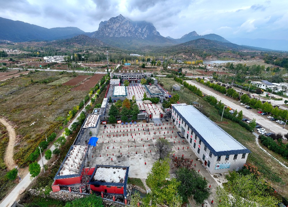 学校全景图