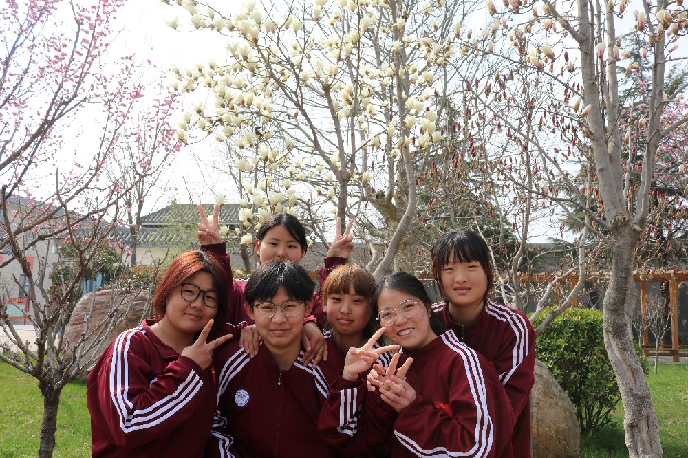 春满少室山｜少室山武校少年与春日的温柔邂逅